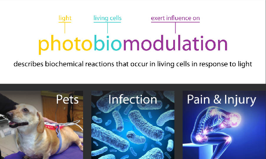 What is Photobiomodulation?
