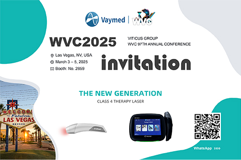 We will see you at WVC 2025 in Las Vegas USA