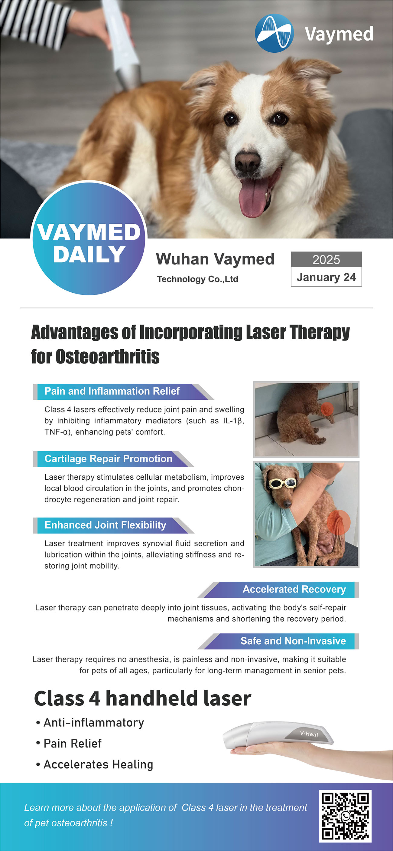 Advantages of incornorating Laser Therapy for Osteoarthritis