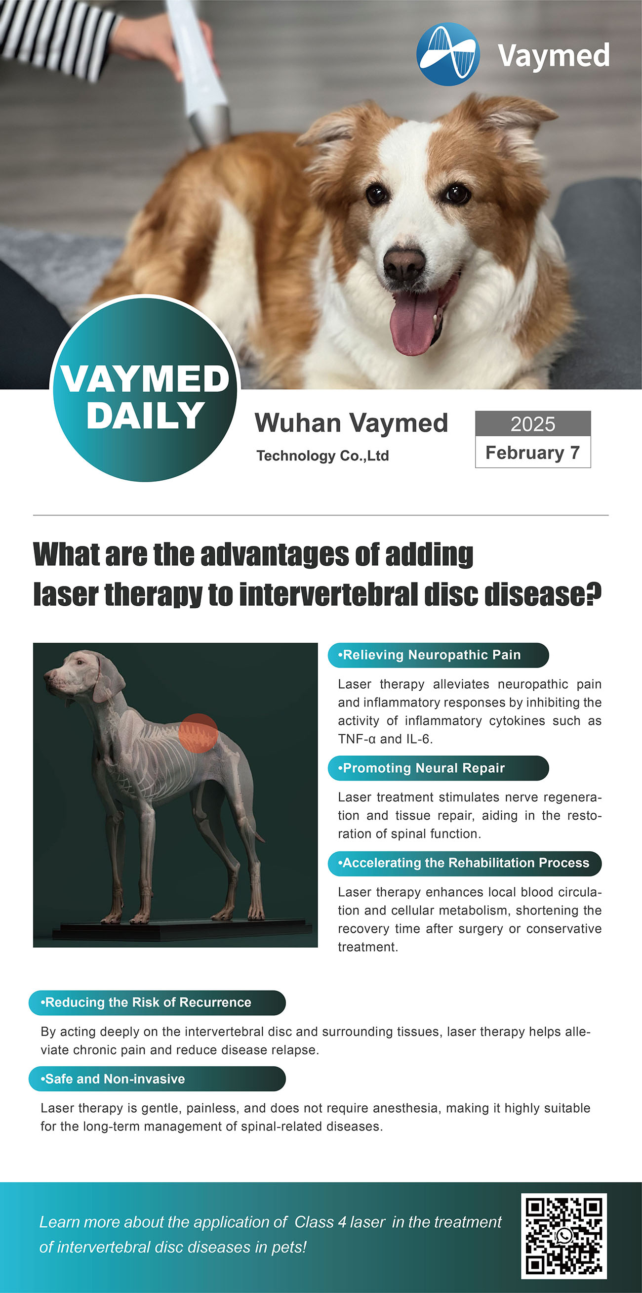Advantages of Laser Therapy to Intervertebral Disc Disease