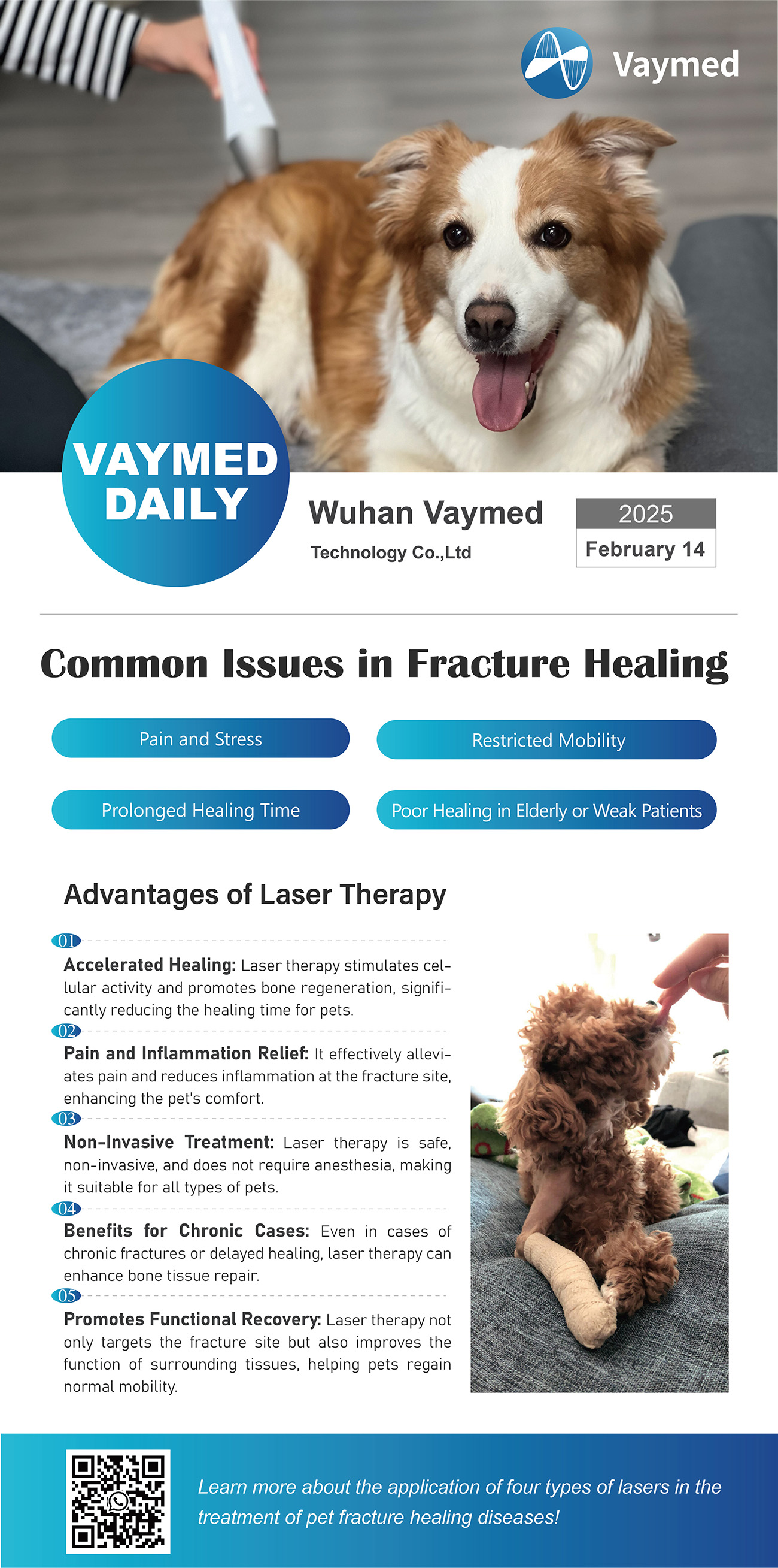 Laser Therapy Benefits & Common Issues in Fracture Healing