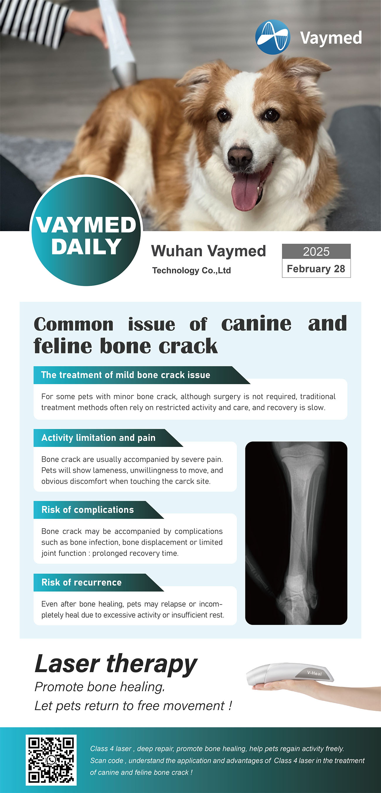 Common Issue of Canine and Feline Bone Crack