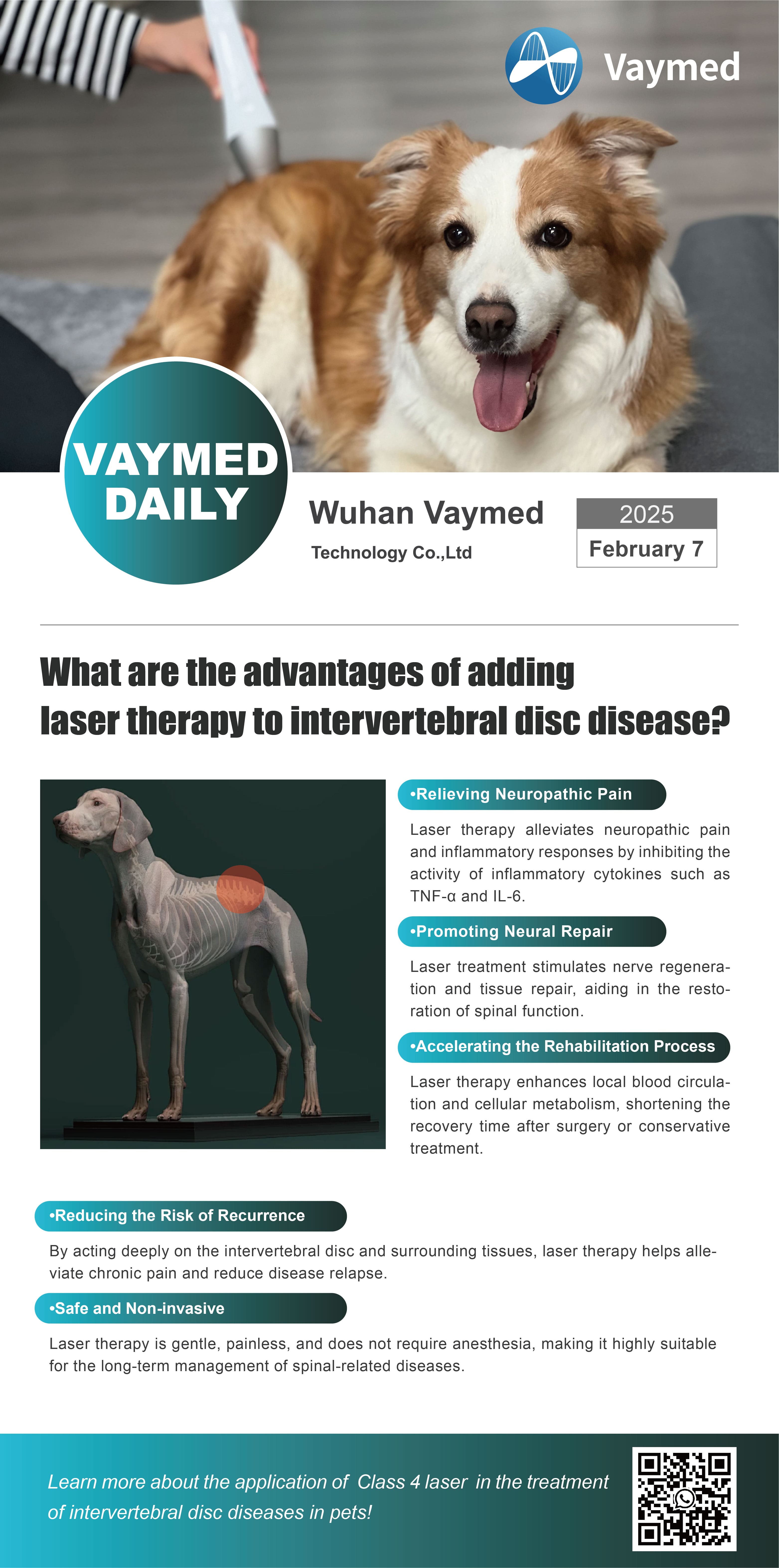 Advantages of Laser Therapy to Intervertebral Disc Disease