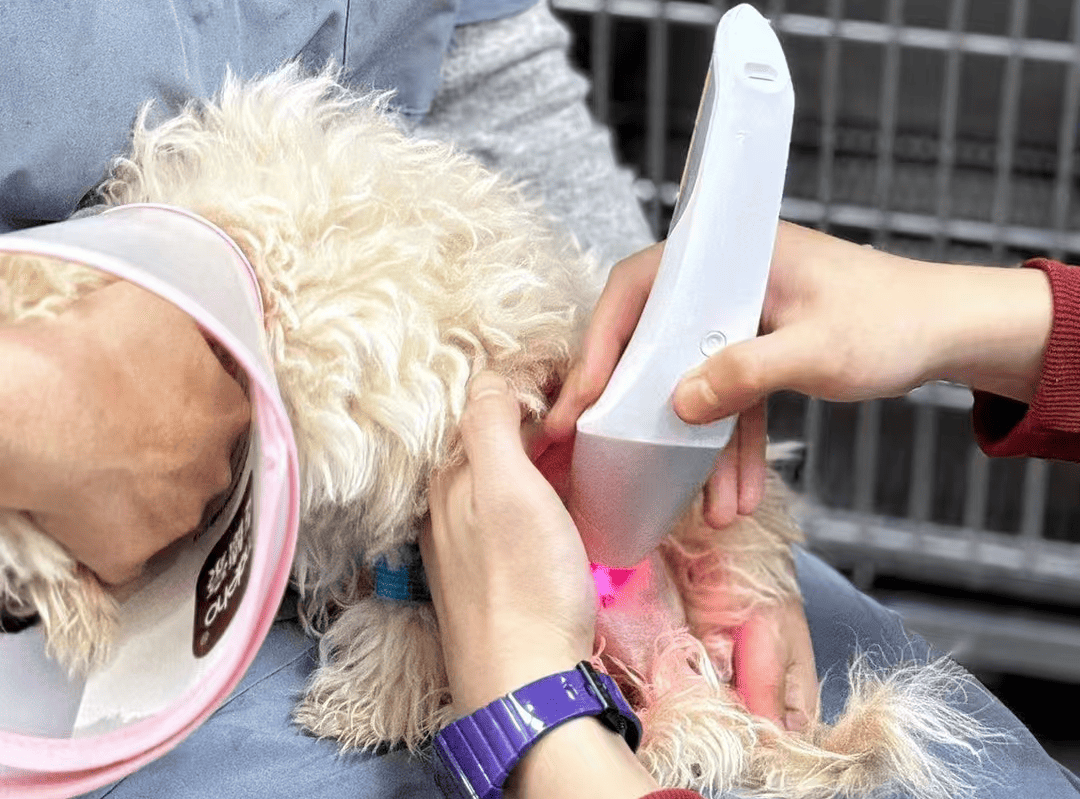 What is class 4 laser therapy.png