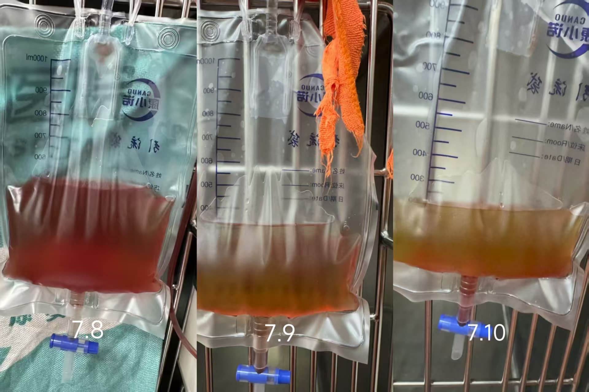 A Case of Laser Treatment of Urinary Obstruction in Cats.jpg