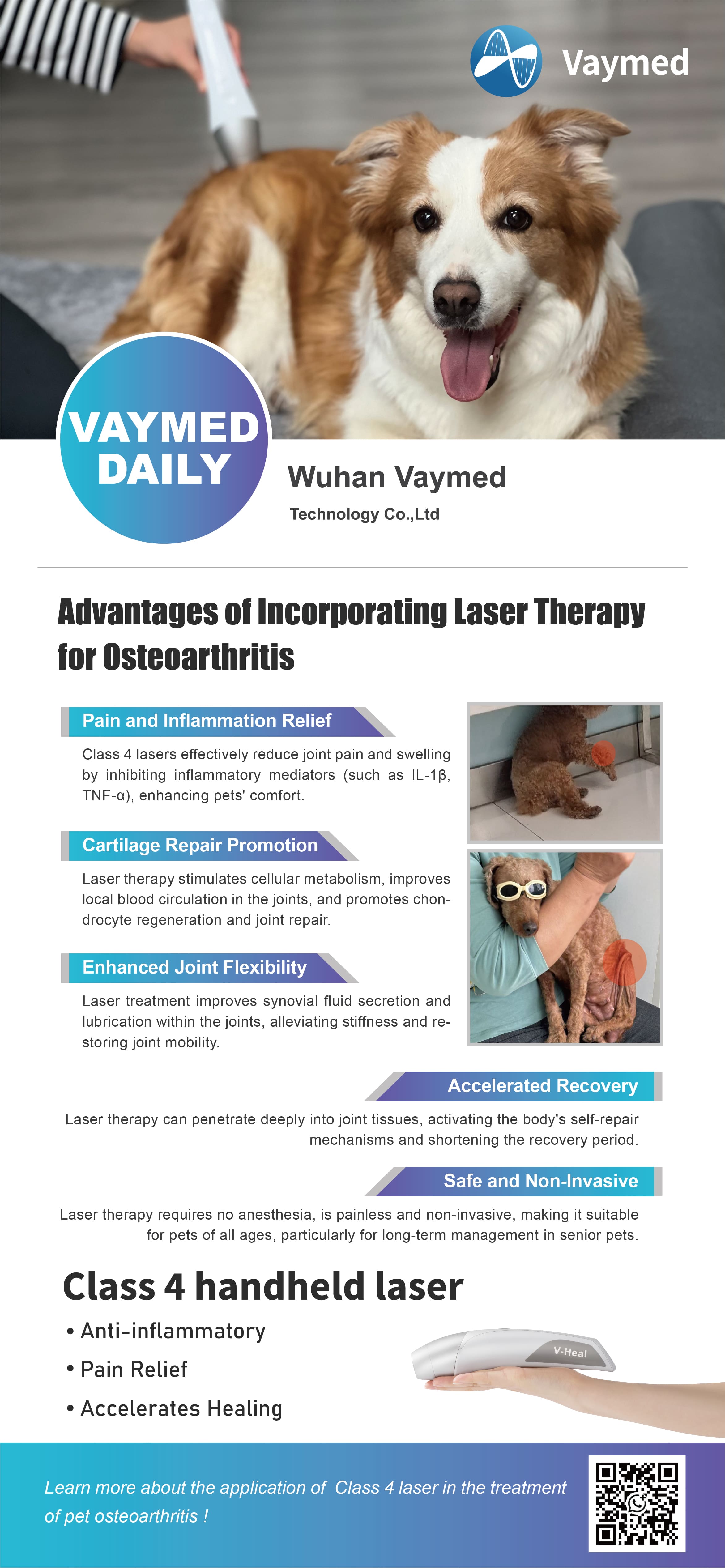 Advantages of incornorating Laser Therapy for Osteoarthritis