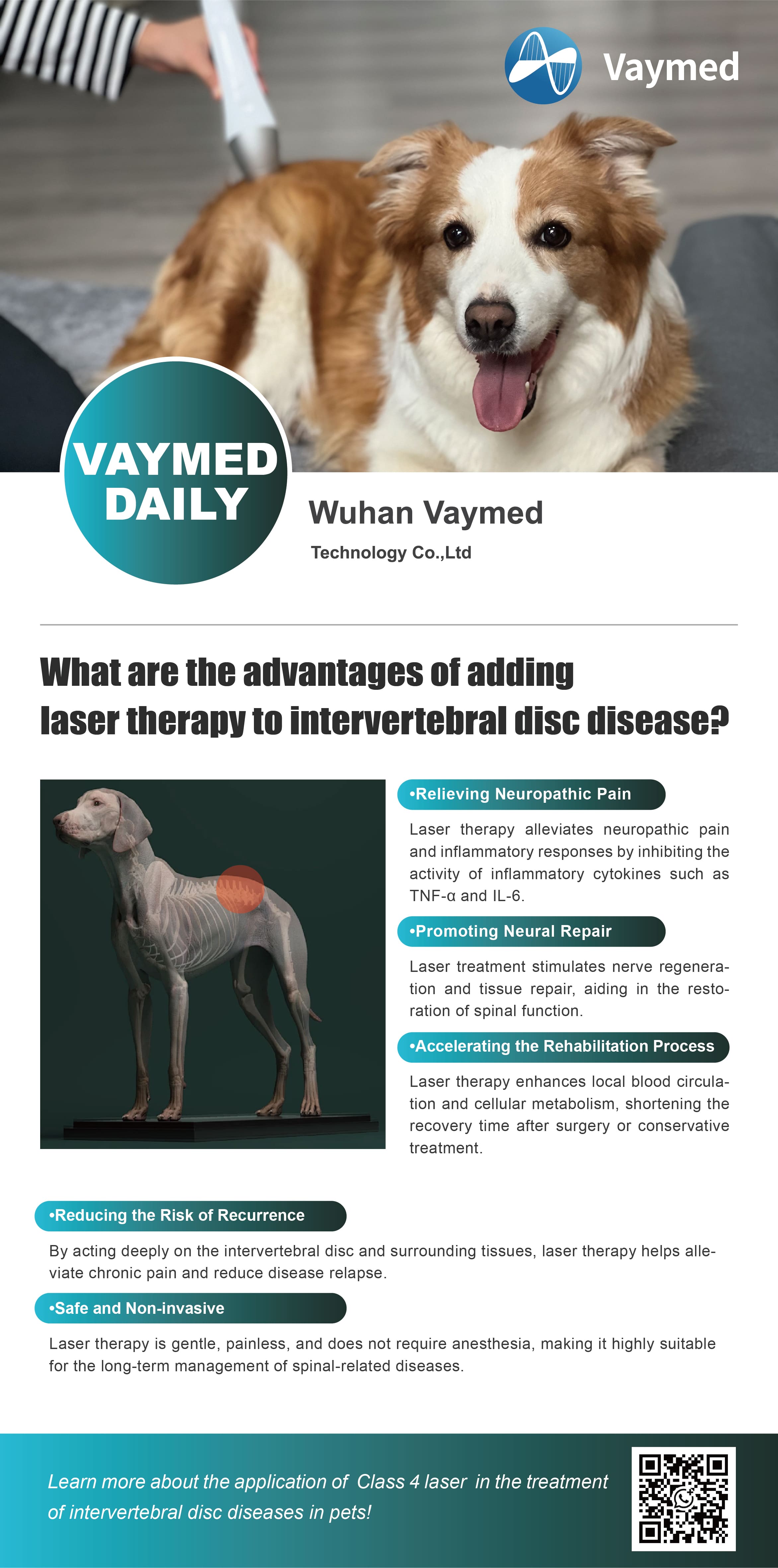 Advantages of Laser Therapy to Intervertebral Disc Disease