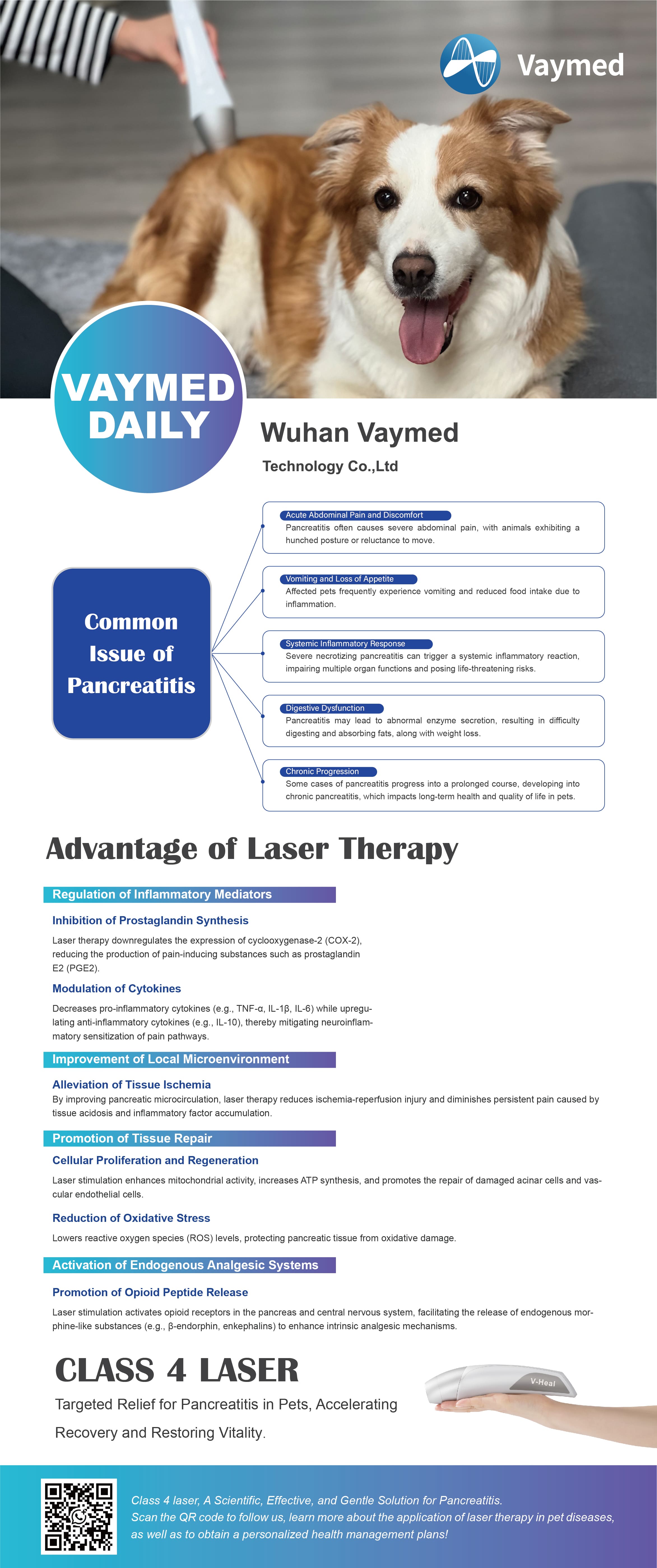 Common Issue of Pancreatitis - Class 4 Laser Therapy