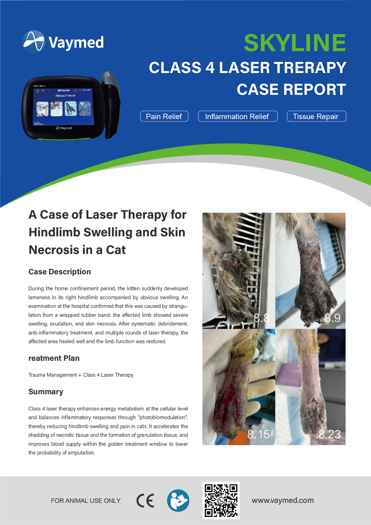 A Case of Laser Treatment for Hind Limb Swelling and Skin Necrosis in a Cat