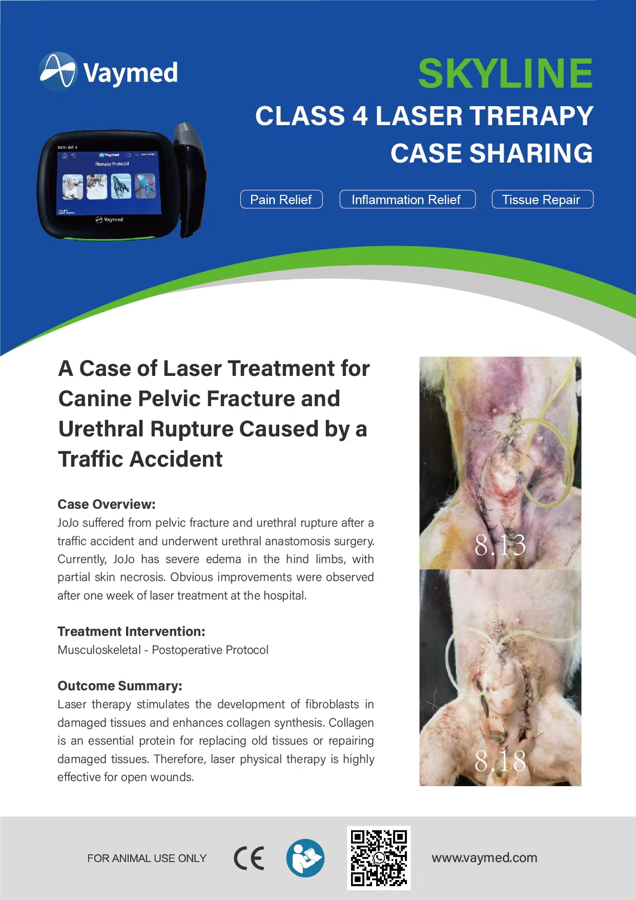 A Case of Laser Treatment for Pelvic Fracture and Urethral Rupture in a Dog Caused by Traffic Accide