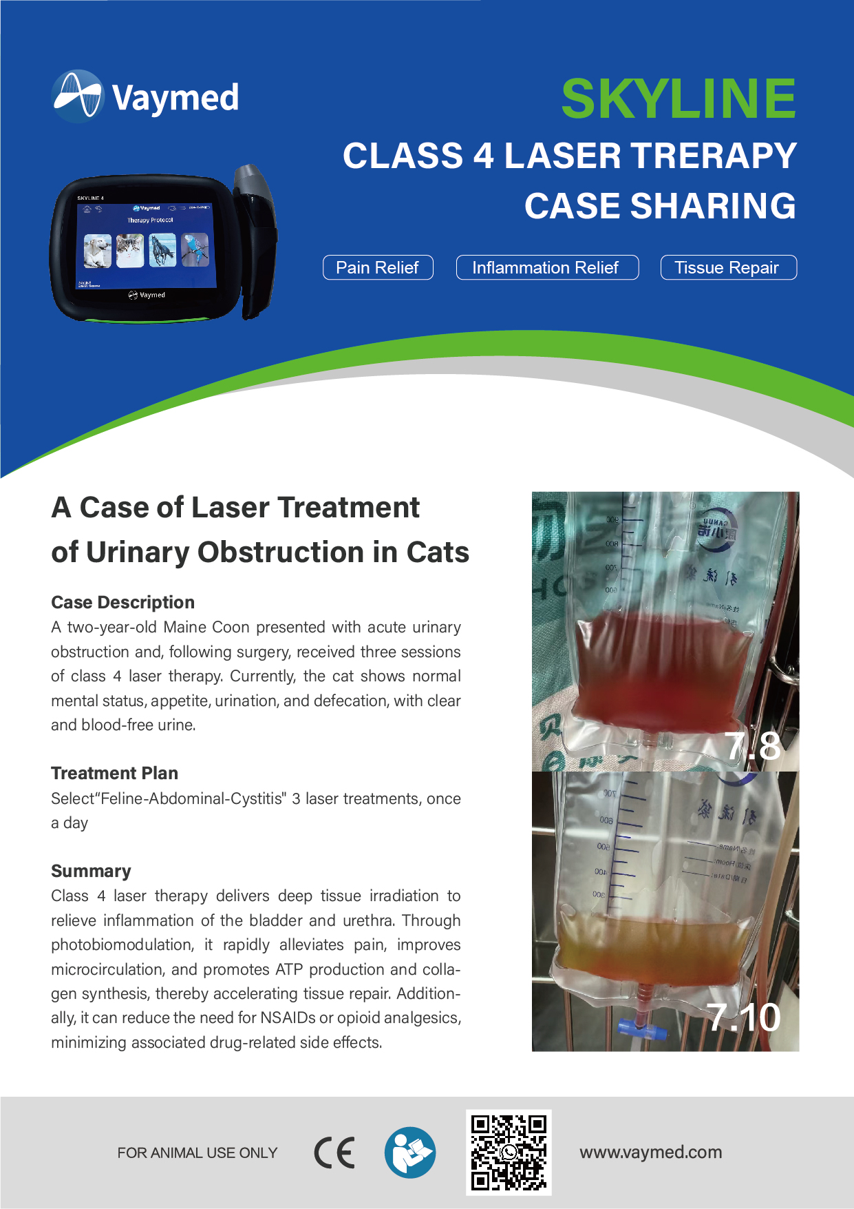 A Case of Laser Treatment for Urinary Tract Obstruction in a Cat