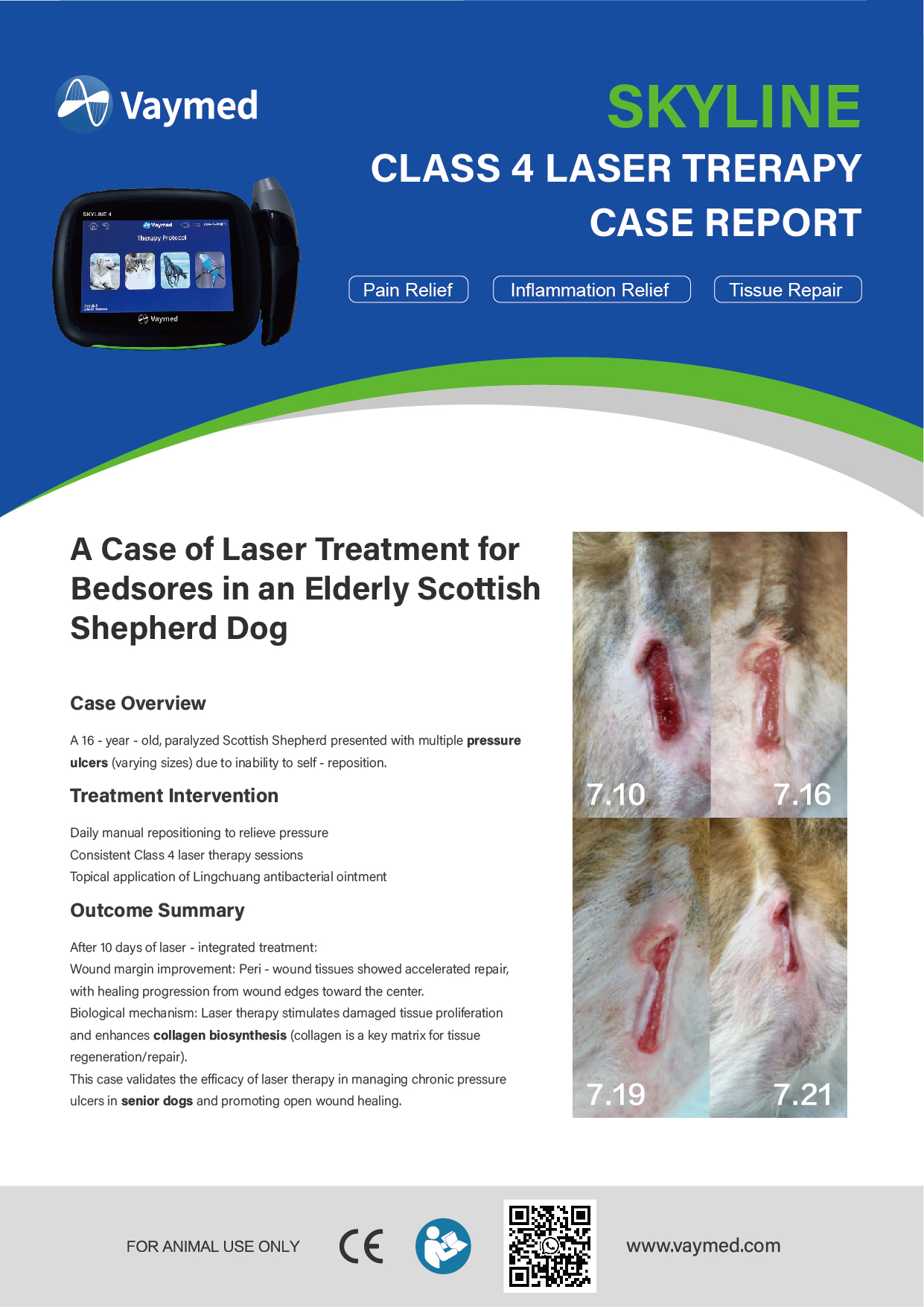 A Case of Laser Treatment of Bedsore in an Elderly Scottish Shepherd Dog
