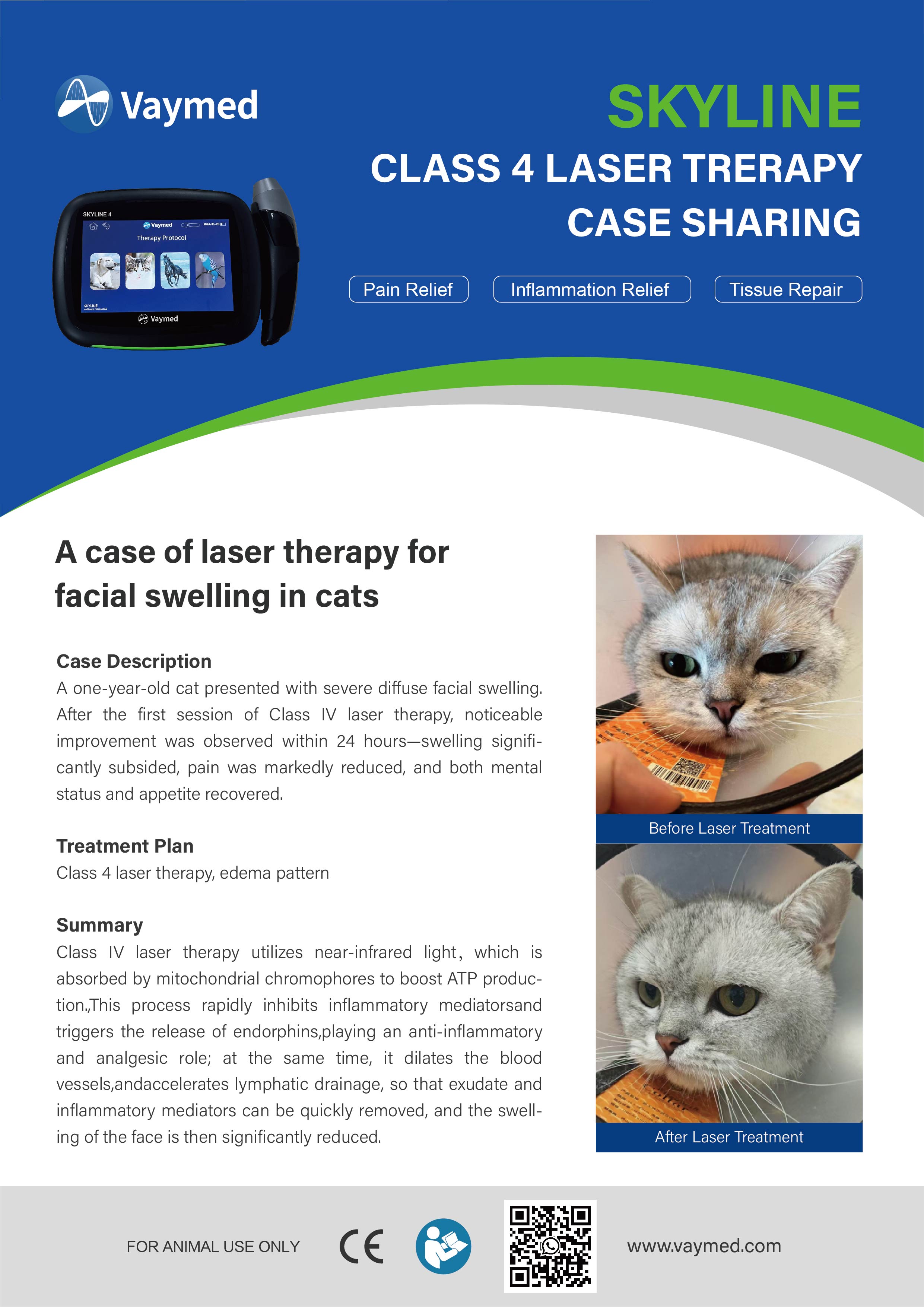A Case of Laser Treatment of Facial Swelling in a Cat