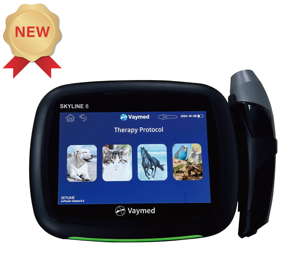 Skyline 6 Laser Therapy